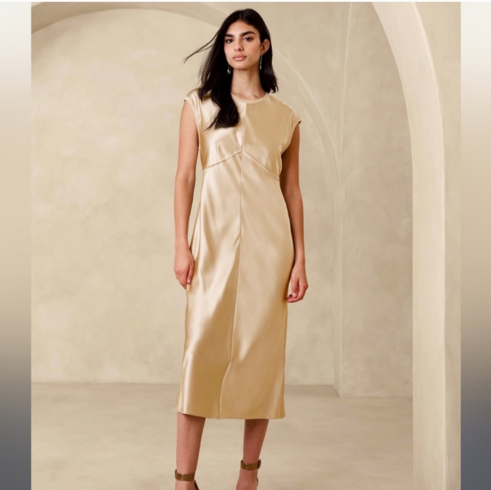 Banana Republic Silk Champagne Color Dress | Small Petite